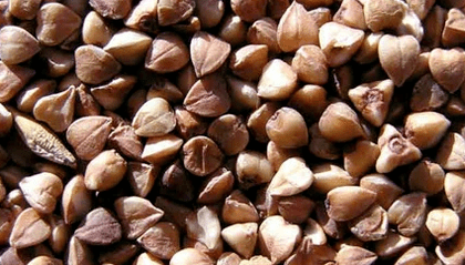 Brei von Buchweizen für Gewichtsverlust